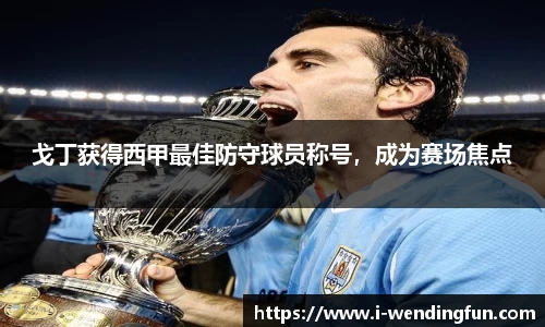 戈丁获得西甲最佳防守球员称号，成为赛场焦点